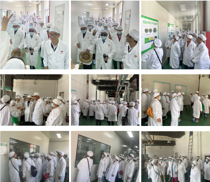 ��������רעΪ����·���ϵ�����ƽ̨